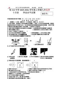 2025年哈尔滨市113中学九年级上学期10月月考化学试题及答案