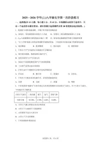 福建省龙岩市2025~2026学年九年级上册（10月）月考化学试题（含答案）