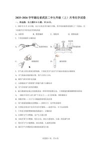 湖北省武汉市第二中学2025~2026学年九年级上册月考化学试题（含答案）