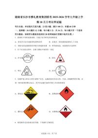 湖南省长沙市雅礼教育集团联考2025~2026学年九年级上册（10月）月考化学试题（含答案）