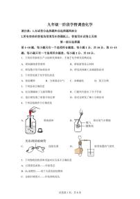 江苏省泰州中学附属中学2025~2026学年九年级上册（9月）月考化学试题（含答案）