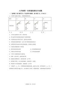 山东省新泰市2025~2026学年九年级上册第一次月考化学试题（含答案）