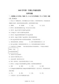 上海市嘉定区2025~2026学年九年级上册9月考化学学科（含答案）