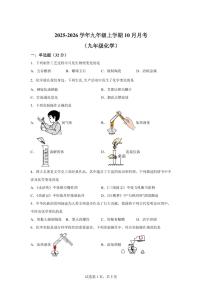 四川省绵阳市涪城区2025~2026学年九年级上册（10月）月考化学试题（含答案）