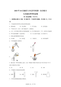 天津市武清区杨村第八中学2025~2026学年九年级上册第一次月考化学试题（含答案）