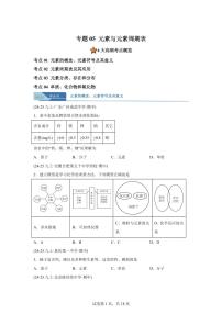 专题05元素与元素周期表（期中真题）九年级化学上册人教版（含答案）