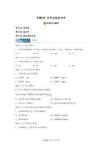 专题09化学式与化合价（期中真题 北京专用）九年级化学上册（含答案）