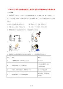 2024_2025学年江苏省盐城市大丰区九年级（上）期中化学试卷 [附答案]