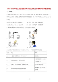 2024_2025学年江苏省盐城市大丰区九年级（上）期中化学试卷 [附答案]