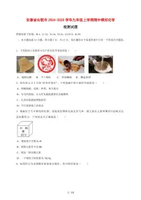 安徽省合肥市2024_2025学年九年级（上）期中模拟化学试卷 [附答案]