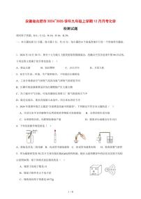 安徽省合肥市2024~2025学年九年级（上）12月月考化学试卷 [附答案]