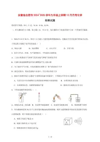 安徽省合肥市2024~2025学年九年级（上）12月月考化学试卷 [附答案]