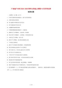 广东省广州市2024_2025学年九年级（上）10月月考化学试卷 [附答案]