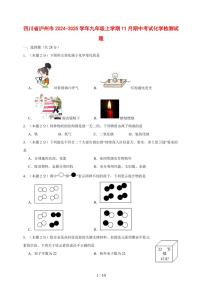 四川省泸州市2024_2025学年九年级（上）11月期中考试化学试卷 [附答案]