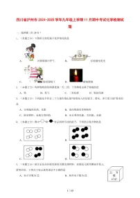 四川省泸州市2024_2025学年九年级（上）11月期中考试化学试卷 [附答案]