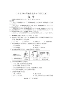 2025广安中考化学真题及答案