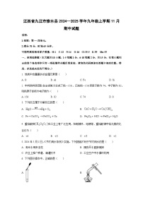 江西省九江市修水县2024--2025学年九年级上学期11月期中化学试卷（学生版）
