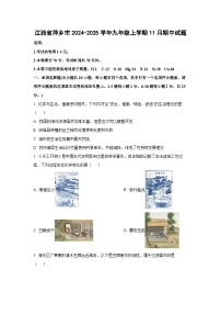 江西省萍乡市2024-2025学年九年级上学期11月期中化学试卷（学生版）