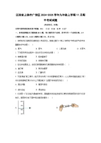 江西省上饶市广信区2024-2025学年九年级上学期11月期中考试化学试卷（学生版）
