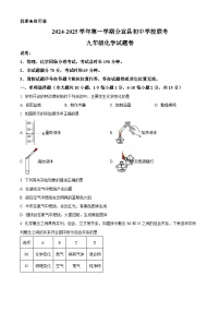 精品解析：江西省新余市分宜县初级中学校联考2024-2025学年九年级上学期期中化学试卷（原卷版+解析版）