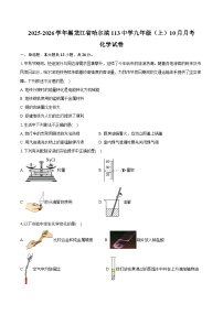 2025-2026学年黑龙江省哈尔滨113中学九年级（上）月考化学试卷（10月份）（含答案）
