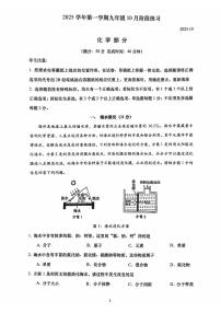 上海市普陀区2025-2026学年九年级上学期10月月考化学试卷(图片版无答案)