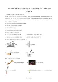 2025-2026学年黑龙江省哈尔滨113中学九年级（上）月考化学试卷（10月份）（含答案）