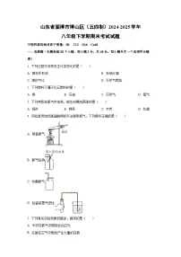 山东省淄博市博山区（五四制）2024-2025学年八年级下学期期末考试化学试卷（学生版）