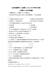 山东省淄博市（五四制）2025-2026学年九年级上学期10月月考化学试卷（学生版）