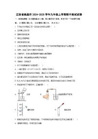 江西省南昌市2024-2025学年九年级上学期期中测试化学试卷（学生版）