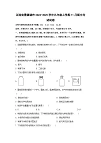 江西省景德镇市2024-2025学年九年级上学期11月期中考试化学试卷（学生版）