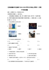 江西省赣州市龙南市2024-2025学年九年级上学期11月期中考试化学试卷（学生版）