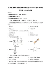 江西省抚州市高新技术产业开发区2024-2025学年九年级上学期11月期中化学试题（学生版）