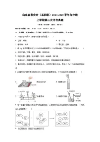 山东省泰安市（五四制）2024-2025学年九年级上学期第二次月考真题化学试卷（学生版）
