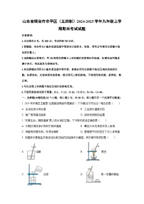 山东省烟台市牟平区（五四制）2024-2025学年九年级上学期期末考试化学试卷（学生版）