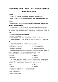 山东省烟台市牟平区（五四制）2024-2025学年八年级上学期期末考试化学试卷（学生版）