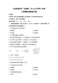 山东省泰安市（五四制）2024-2025学年八年级上学期期末模拟练习卷化学试卷（学生版）