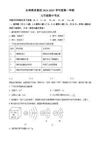 精品解析：广东省深圳市福田区红岭教育集团2024-2025学年九年级上学期期中考试化学试卷含答案