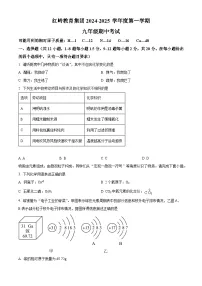 精品解析：广东省深圳市福田区红岭教育集团2024-2025学年九年级上学期期中考试化学试卷含答案