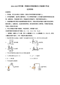 精品解析：广东省深圳市南山区育才集团2024-2025学年九年级上学期期中考试化学试卷含答案