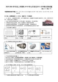 2025年哈尔滨市49中学九年级上学期10月月考化学试题及答案