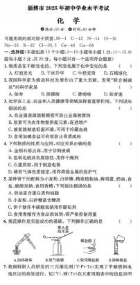 2025年山东省淄博市中考化学真题试卷（无答案）