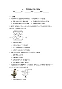 化学九年级上册（2024）二氧化碳对环境的影响课时练习