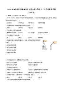 2025-2026学年江苏省南京市钟英中学九年级（上）月考化学试卷（10月份）-自定义类型