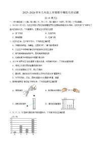 安徽省合肥市第四十中学2025~2026学年九年级上学期期中模拟考试化学试题