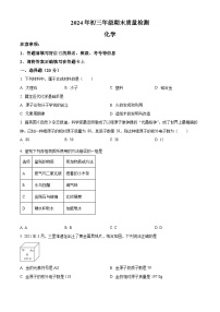 精品解析：广东省深圳市福田区2024-2025学年九年级上学期12月期末质量检测化学试题 含答案
