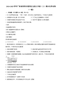 精品解析：广东省深圳市福田区五校2024-2025学年九年级上学期期末（一模）化学试题 含答案