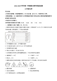 精品解析：广东省深圳市南山区2024-2025学年九年级上学期期末教学质量监测化学试题 含答案