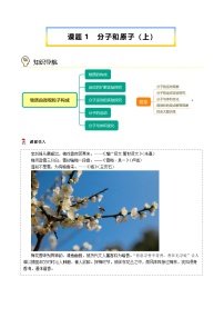 人教版（2024）九年级上册（2024）分子和原子学案及答案