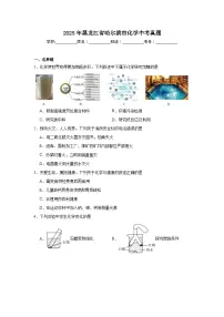 2025年黑龙江省哈尔滨市化学中考真题(附答案解析)
